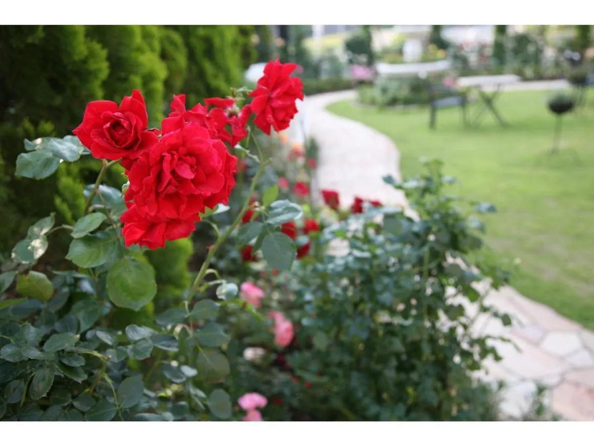 Hotel Sunlife Garden - Vacation Stay 55382V Hiratsuka